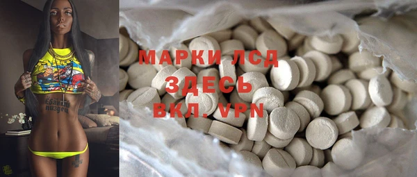ГАЛЛЮЦИНОГЕННЫЕ ГРИБЫ Горняк