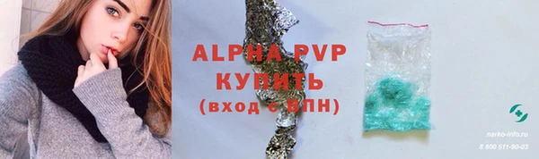 ГАЛЛЮЦИНОГЕННЫЕ ГРИБЫ Горняк