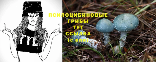 синтетический гашиш Горнозаводск